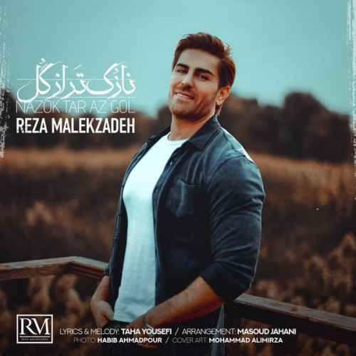 دانلود آهنگ دلم میخواد هر شبمو فقط کنارت باشمو رضا ملک زاده
