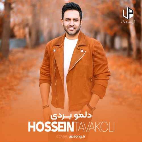 دانلود آهنگ حسین توکلی دلمو بردی
