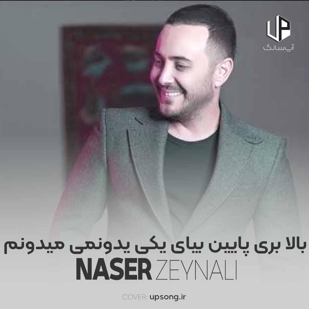 دانلود آهنگ ناصر زینعلی بالا بری پایین بیای یکی یدونمی میدونم
