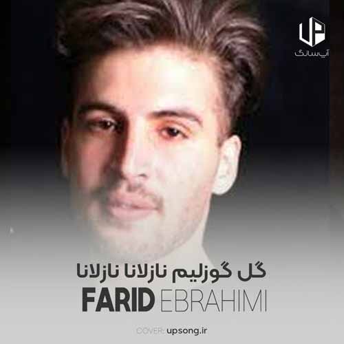 دانلود آهنگ فرید ابراهیمی گل گوزلیم نازلانا نازلانا