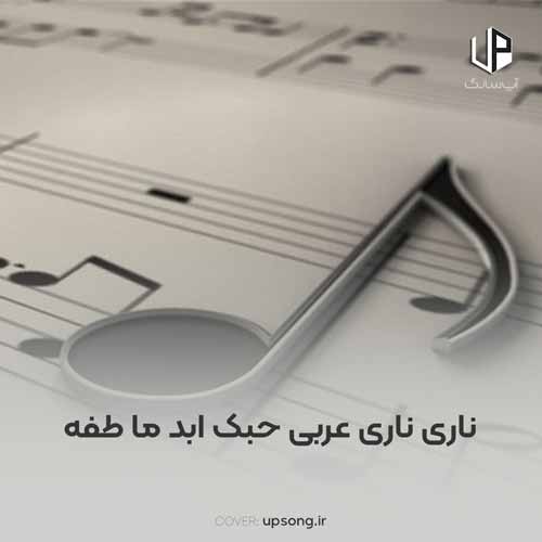 دانلود آهنگ  ناری ناری عربی حبک ابد ما طفه