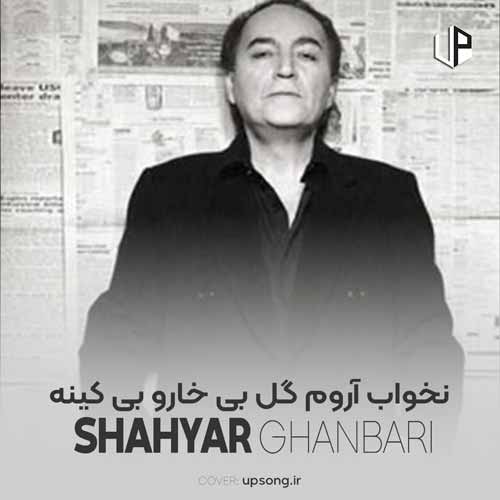 دانلود آهنگ شهیار قنبری نخواب آروم گل بی خارو بی کینه دانلود آهنگ شهیار قنبری نخواب آروم گل بی خارو بی کینه