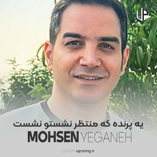 دانلود آهنگ محسن یگانه یه پرنده که منتظر نشستو نشست