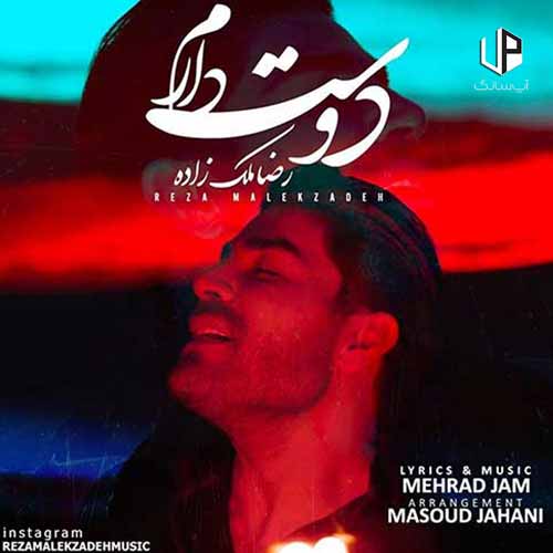 دانلود آهنگ رضا ملک زاده دیوانه وار دل به چشمان تو بستم
