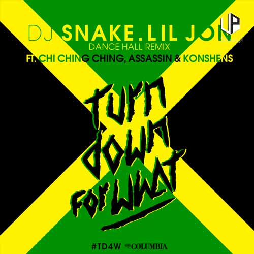 دانلود آهنگ turn down for what دانلود آهنگ turn down for what