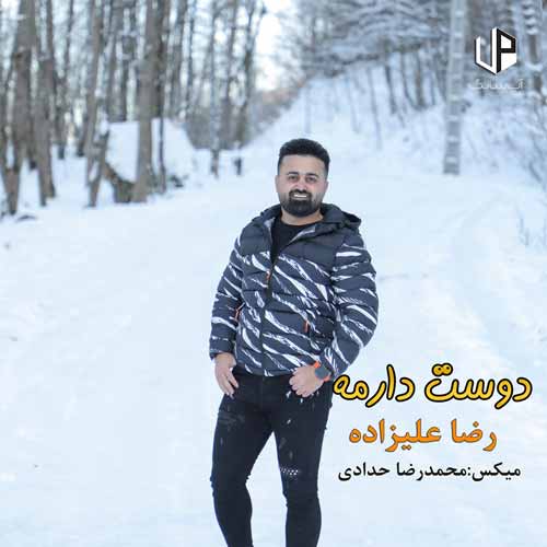 دانلود آهنگ رضا علیزاده دوست دارمه