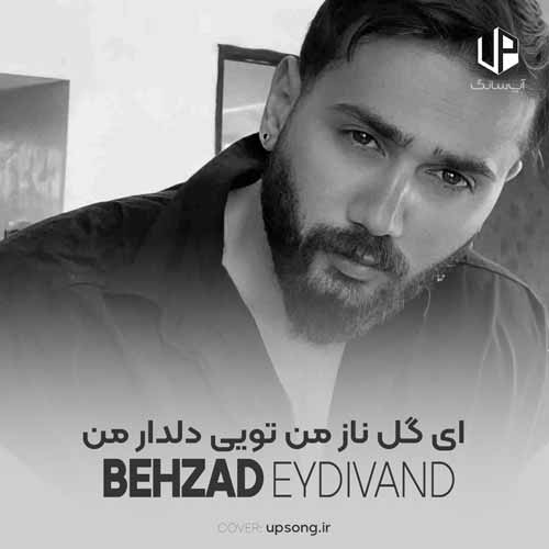 دانلود آهنگ ای گل ناز من تویی دلدار من دانلود آهنگ ای گل ناز من تویی دلدار من