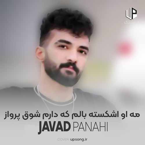 مه او اشکسته بالم که دارم شوق پرواز