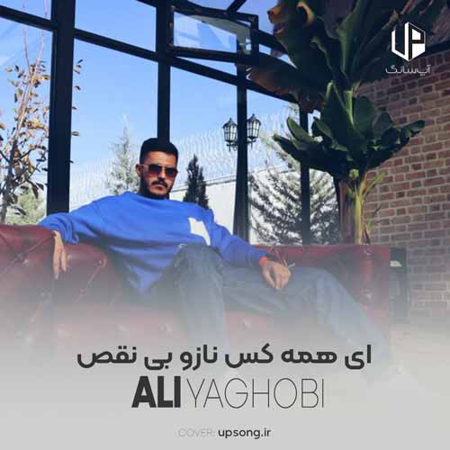 دانلود آهنگ  ای همه کس نازو بی نقص