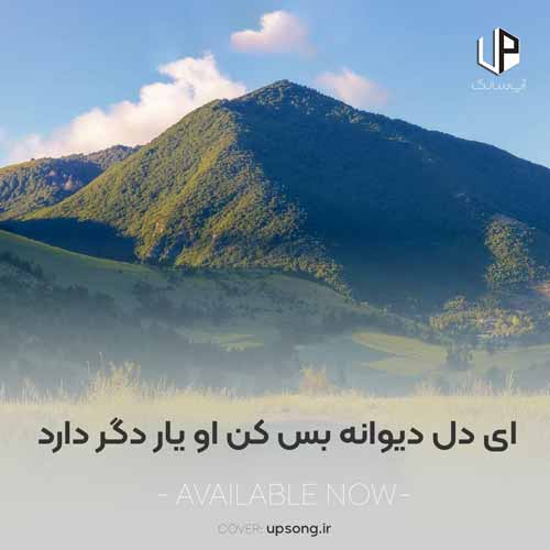 دانلود آهنگ  ای دل دیوانه بس کن او یار دگر دارد ریمیکس سوت دار