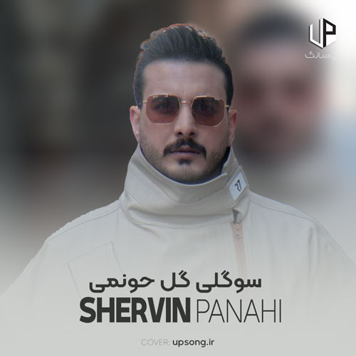 دانلود آهنگ شروین پناهی سوگلی گل حونمی عاشق تیاتم ریمیکس اینستا