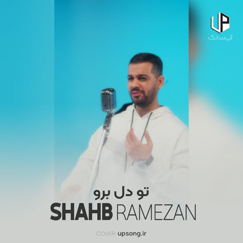 دانلود آهنگ شهاب رمضان تو دل برو