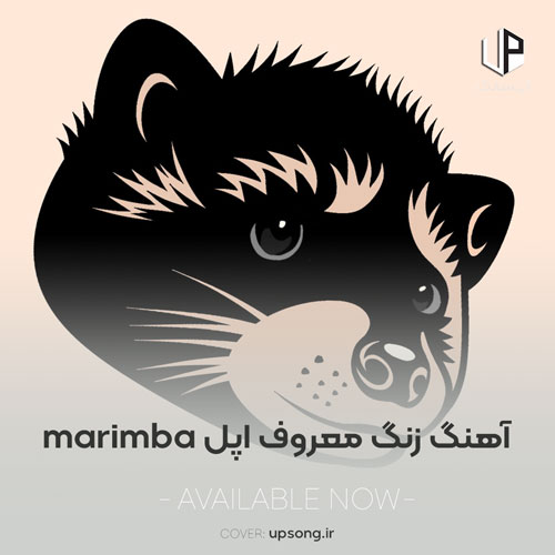 دانلود آهنگ  زنگ معروف اپل (آیفون) marimba