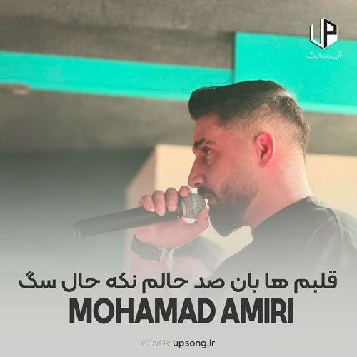 دانلود آهنگ محمد امیری قلبم ها بان صد حالم نکه حال سگ دانلود آهنگ محمد امیری قلبم ها بان صد حالم نکه حال سگ