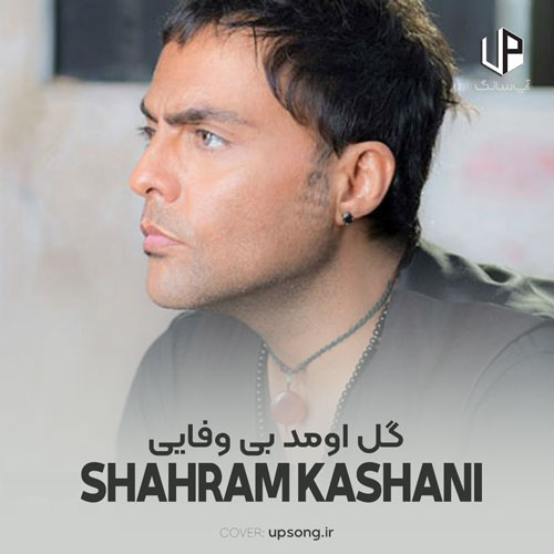 دانلود آهنگ شهرام کاشانی گل اومد بی وفایی یادم اومد دانلود آهنگ شهرام کاشانی گل اومد بی وفایی یادم اومد