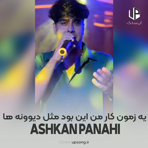 دانلود آهنگ اشکان پناهی یه زمون کار من این بود مثل دیوونه ها ریمیکس