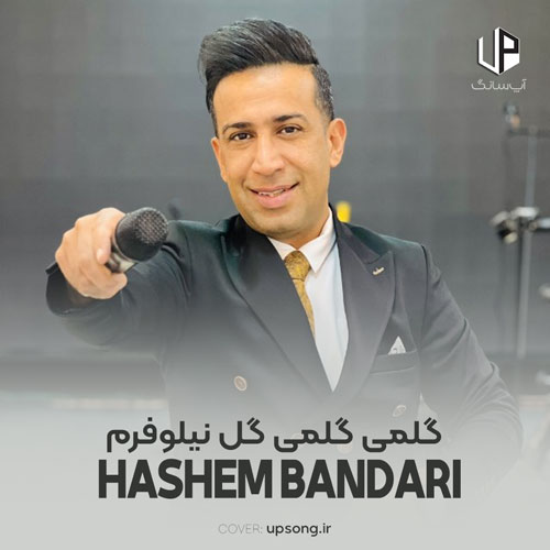 دانلود آهنگ هاشم بندری گلمی گلمی گل نیلوفرم ای همه ی باورم دانلود آهنگ هاشم بندری گلمی گلمی گل نیلوفرم ای همه ی باورم