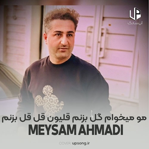 دانلود آهنگ  میثم احمدی ما مو میخوام گل بزنم قلیون قل قل بزنم