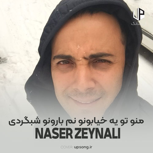 دانلود آهنگ ناصر زینعلی منو تو یه خیابونو نم بارونو شبگردی
