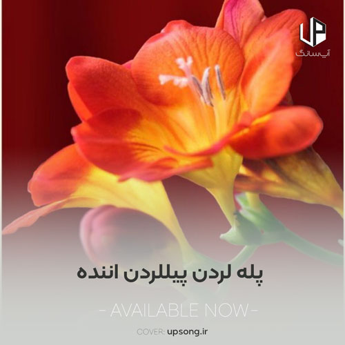 دانلود آهنگ پله لردن پیللردن اننده گوزوم قالدی ممنده ریمیکس دانلود آهنگ پله لردن پیللردن اننده گوزوم قالدی ممنده ریمیکس