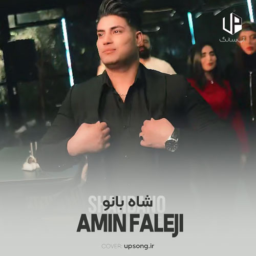 دانلود آهنگ امین فالجی شاه بانو دانلود آهنگ امین فالجی شاه بانو
