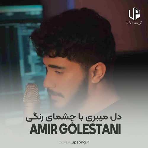دانلود آهنگ امیر گلستانی دل میبری با چشمای رنگی شاخه نباتی شیرین میخندی دانلود آهنگ امیر گلستانی دل میبری با چشمای رنگی شاخه نباتی شیرین میخندی