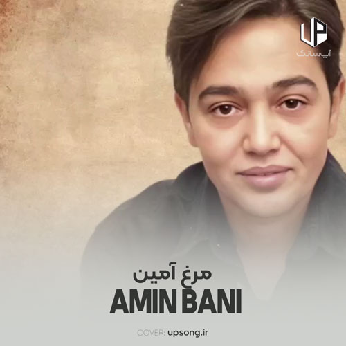 دانلود آهنگ امین بانی مرغ آمین درد آلودیست کآواره بمانده
