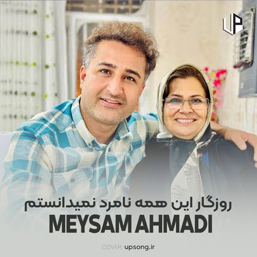 دانلود آهنگ میثم احمدی روزگار این همه نامرد نمیدانستم دانلود آهنگ میثم احمدی روزگار این همه نامرد نمیدانستم