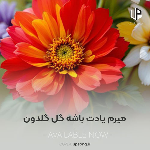 دانلود آهنگ بهیاد میرم یادت باشه گل گلدون برام گذاشتی دانلود آهنگ بهیاد میرم یادت باشه گل گلدون برام گذاشتی