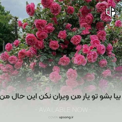 دانلود آهنگ بیا بشو تو یار من ویران نکن این حال من دانلود آهنگ بیا بشو تو یار من ویران نکن این حال من