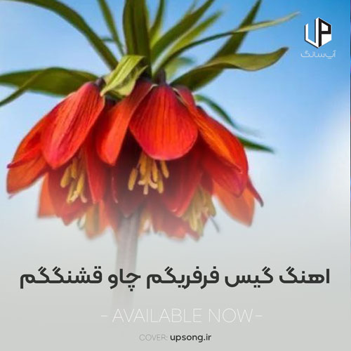 دانلود آهنگ  گیس فرفریگم چاو قشنگگم