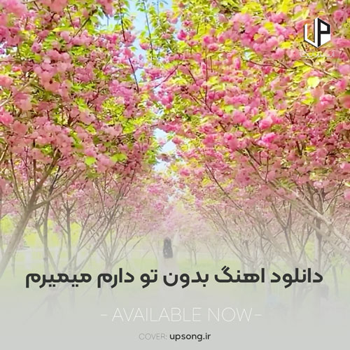 دانلود آهنگ الیاس زارع بدون تو دارم میمیرم نمیتونن اینا جاتو بگیرن دانلود آهنگ الیاس زارع بدون تو دارم میمیرم نمیتونن اینا جاتو بگیرن