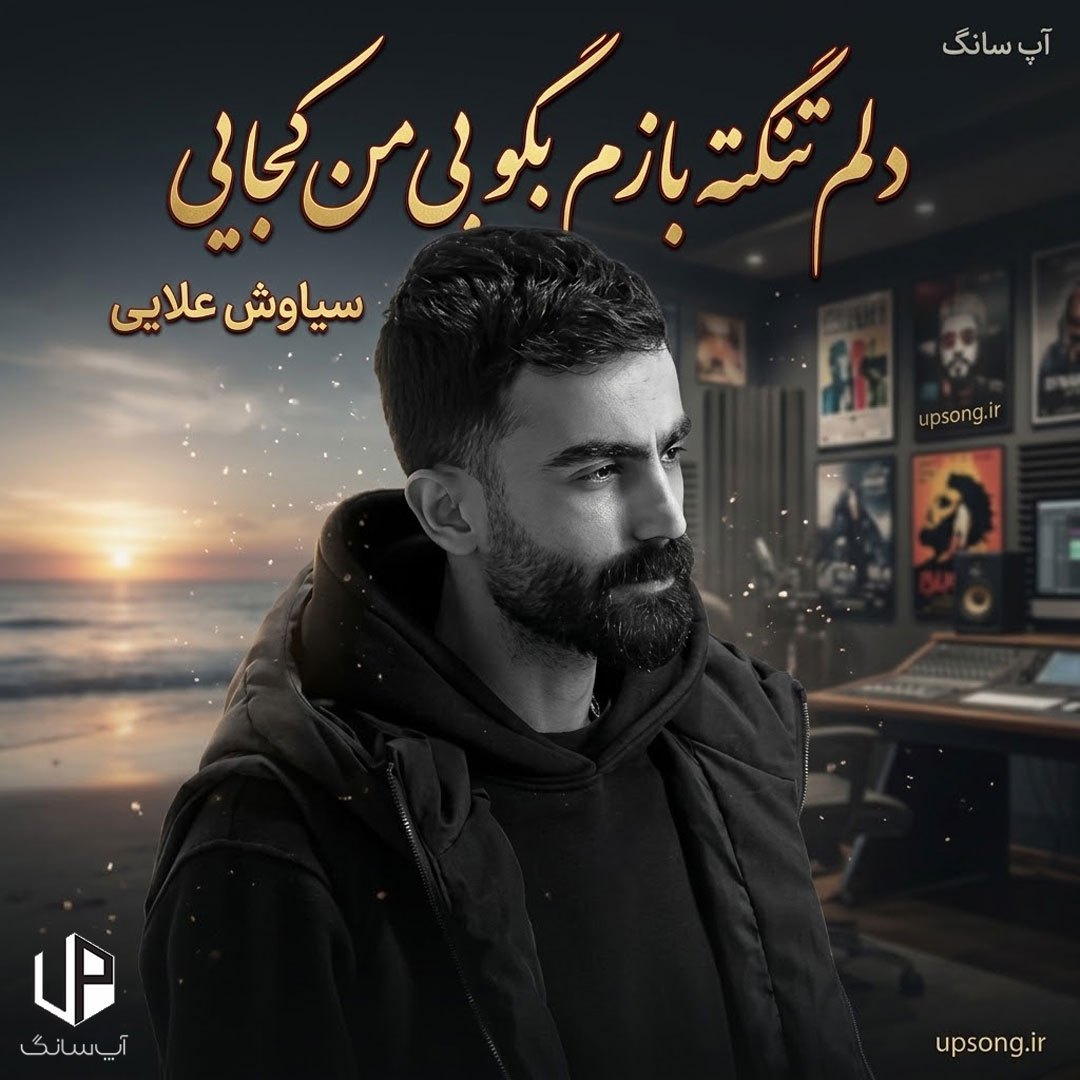 دانلود آهنگ دلم تنگته بازم بگو بی من کجایی ریمیکس – Siavash Alaei