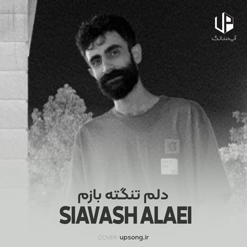 دانلود آهنگ سیاوش علایی دلم تنگته بازم بگو بی من کجایی دانلود آهنگ سیاوش علایی دلم تنگته بازم بگو بی من کجایی