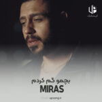 دانلود آهنگ میراث بچمو گم کردم