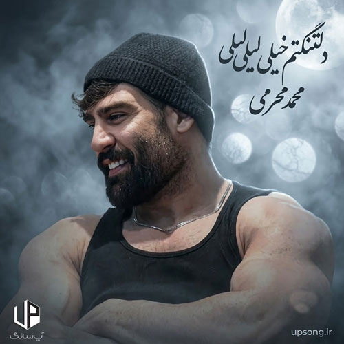 دانلود آهنگ محمد محرمی دلتنگتم خیلی لیلی لیلی لیلی تو که نباشی پیش من به زندگی میلی