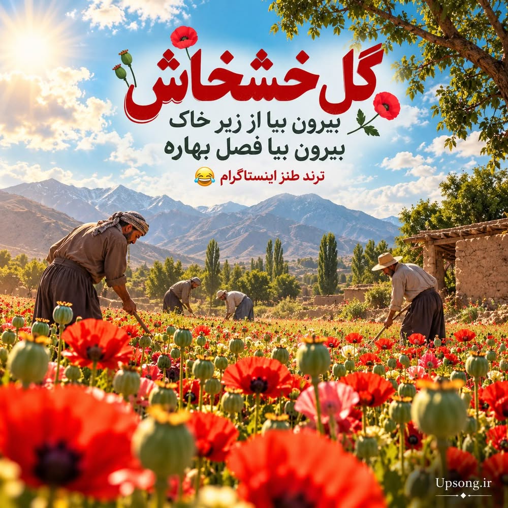 دانلود آهنگ گل خشخاش بیرون بیا از زیر خاک بیرون بیا فصل بهاره ریمیکس دانلود آهنگ گل خشخاش بیرون بیا از زیر خاک بیرون بیا فصل بهاره ریمیکس